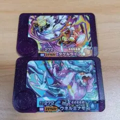 ✩最終お値下げ✩早い者勝ち!!ポケモンフレンダ タケルライコ&ウネルミナモセット