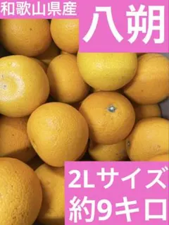 38【和歌山県産】　八朔　 2Lサイズ 約9kgのサムネイル