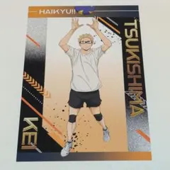 ハイキュー!! 特典 ポストカード ユース・疑似ユース合宿フェア 月島蛍