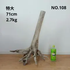 Item thumbnail for item aa5789aa-8b33-42b4-a5eb-df6c16e59bf7