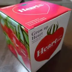 최종 가격 인하 하트 토마토 재배 키트