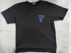 Stussy ステューシー Tシャツ International ブラック M
