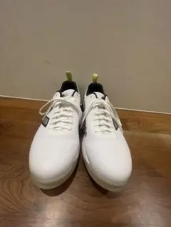 Item thumbnail for item 850bac59-c557-4f47-975c-96aff2601a38