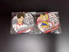 ハイキュー!! 黒尾鉄朗 孤爪研磨 缶バッジ