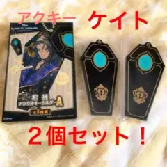 ★お得セット★ツイステッドワンダーランド★【ケイト×2】棺桶アクリルキーホルダー