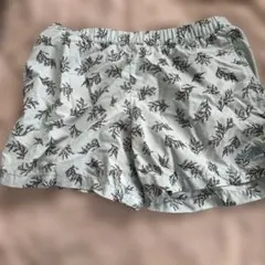 ノースフェイスショートパンツ 水色