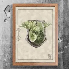 2026年最新】塊根植物 ポスターの人気アイテム - メルカリ