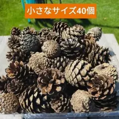 ringoo様 リクエスト 2点 まとめ商品