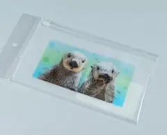 鳥羽水族館 ラッコ メイ キラ クリアファイル×2枚 新品 - メルカリ