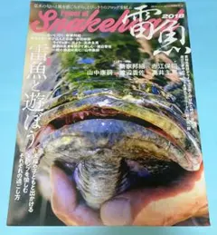 雷魚　釣り雑誌　power of snakehead