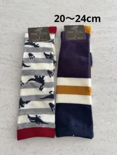 子供用　ハイソックス 20-24cm 2足セット