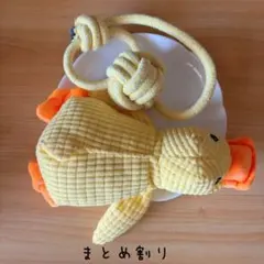 신제품 강아지 장난감 2개, 소형견 애완동물 장난감 오리 로프