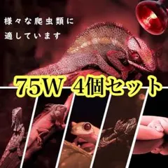 Item thumbnail for item 8c0235db-1296-42de-aeb6-6b57433d0ae8