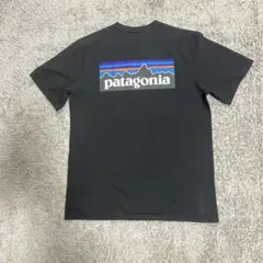 m*n様 期間限定値下げします patagonia ブラック Tシャツ Mサイズ
