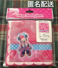 ミニーのファンダーランド ミニパル ミニー ミニタオル ハンカチ 2026