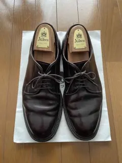 Alden 990 No.8コードバンのサムネイル