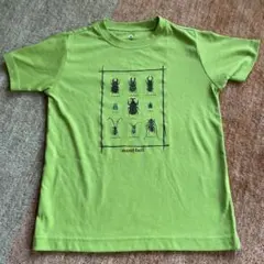 mont-bell 昆虫プリント Tシャツ 130サイズ