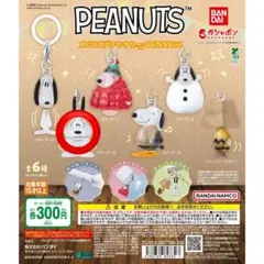 スヌーピー PEANUTS めじるしアクセサリー FUNNY ver.