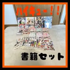 【即日発送】ハイキュー！！　ショーセツバン　DVD同梱版　書籍セット