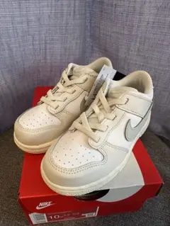NIKE DUNK LOW (TDE) FB9107-109 ダンク 16cm - メルカリ