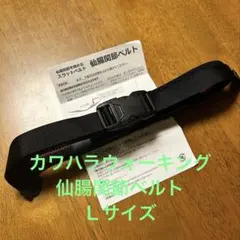 Item thumbnail for item c9d12b15-5fab-467a-a341-ac37dc373d99