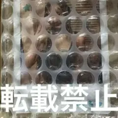 2025年最新】チェキ 当選の人気アイテム - メルカリ