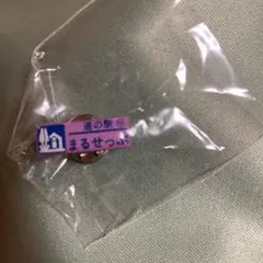 【登録抹消】道の駅　ガチャピンズラリー まるせっぷ　カラー 貴重》 北海道 道の駅 ガチャピンズ 登録抹消 まるせっぷ カラーピンズ