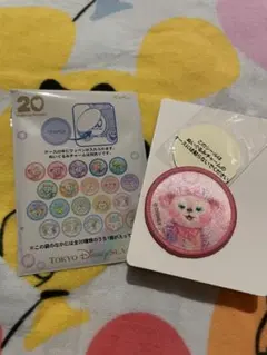 ⭐︎TDS ダッフィー&フレンズ カラフルハピネス シェリーメイ ワッペン⭐︎