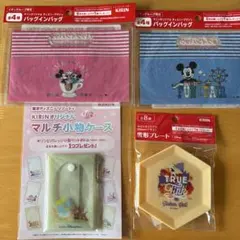 ディズニー KIRIN バッグインバッグ 2種セット、小物ケース、雪形プレート