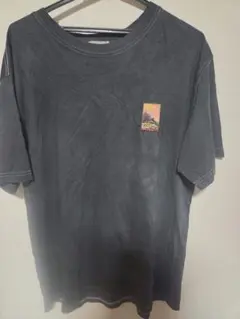 DIOR Tシャツ Mount Zion グラフィックシャツ - メルカリ