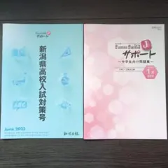 Item thumbnail for item bde17626-ce26-418c-bc95-ca42baf25a2c