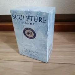 SCULPTURE HOMMEのサムネイル