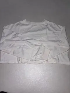 ホワイト 短丈 長袖トップス