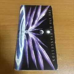 THE END OF EVANGELION