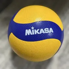 Item thumbnail for item 9c3127ac-bcc1-4383-ad57-cf2d2c5ddea8