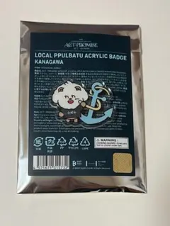 TXT act promise EP.2 プルバトゥ バッジ 神奈川 バムグッ