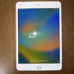 iPad mini 第5世代 Cellular 64GB シルバー 充電器付き