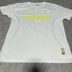 LUZ e SOMBRA ホワイト Tシャツ Mサイズ