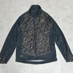 Item thumbnail for item 0d70d08e-9f3d-47dd-a6ae-ac6d7758e7c4