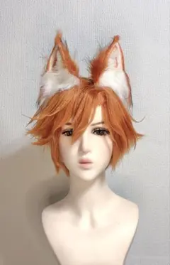 ズートピア ニック・ワイルド コスプレ ウィッグ セット済 Dハロ仮装