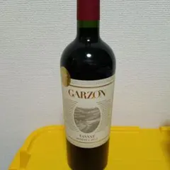 Garzon Tannat Reserva 2023 ウルグアイワインのサムネイル