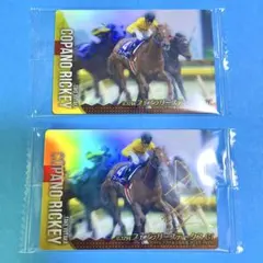 サラブレッドホースコレクション コパノリッキー 競馬カード