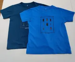 mont-bell 昆虫デザイン Tシャツ 青・緑2枚セット
