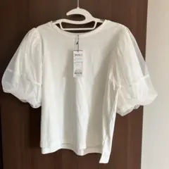 Item thumbnail for item b3106fec-e64b-43c0-8b4d-3520694c1544