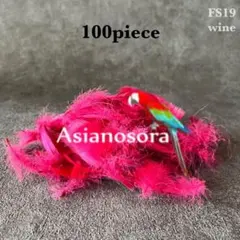 【FS19ワイン】羽 フラワーシャワー コキール 花吹雪 鳥の羽根 フラダンス