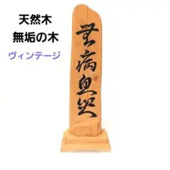 天然木 流木 無垢の木 木製 木材 材料 インテリア 置物 オブジェ