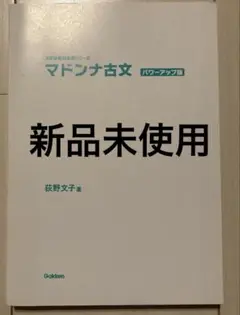 マドンナ古文 パワーアップ版