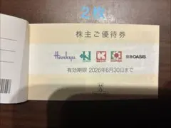 株主優待券 ２枚　2026年6月30日まで