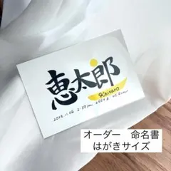 43【命名書】筆文字／名入れ／出産祝い／誕生記念／オーダー／ハガキサイズ