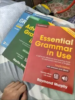 english grammar in use